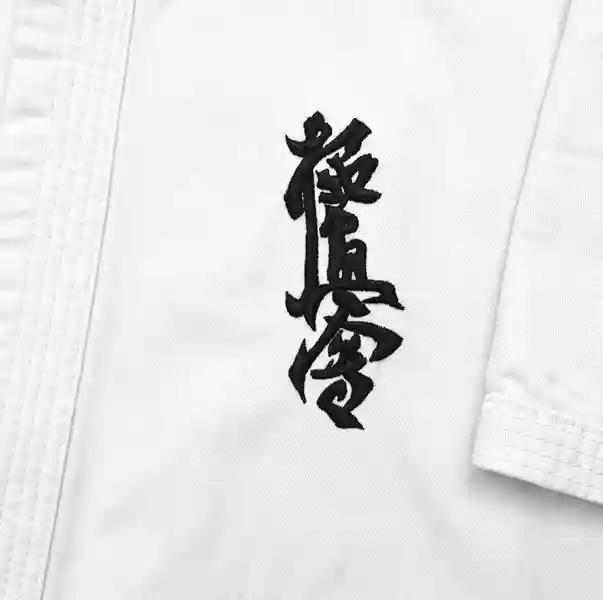 Kyokushin karate - személyes háttér